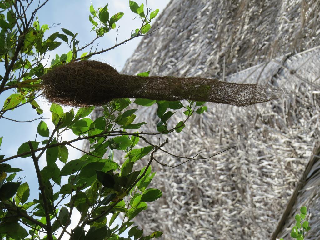 Cloudz Sigiriya Hotel Buitenkant foto