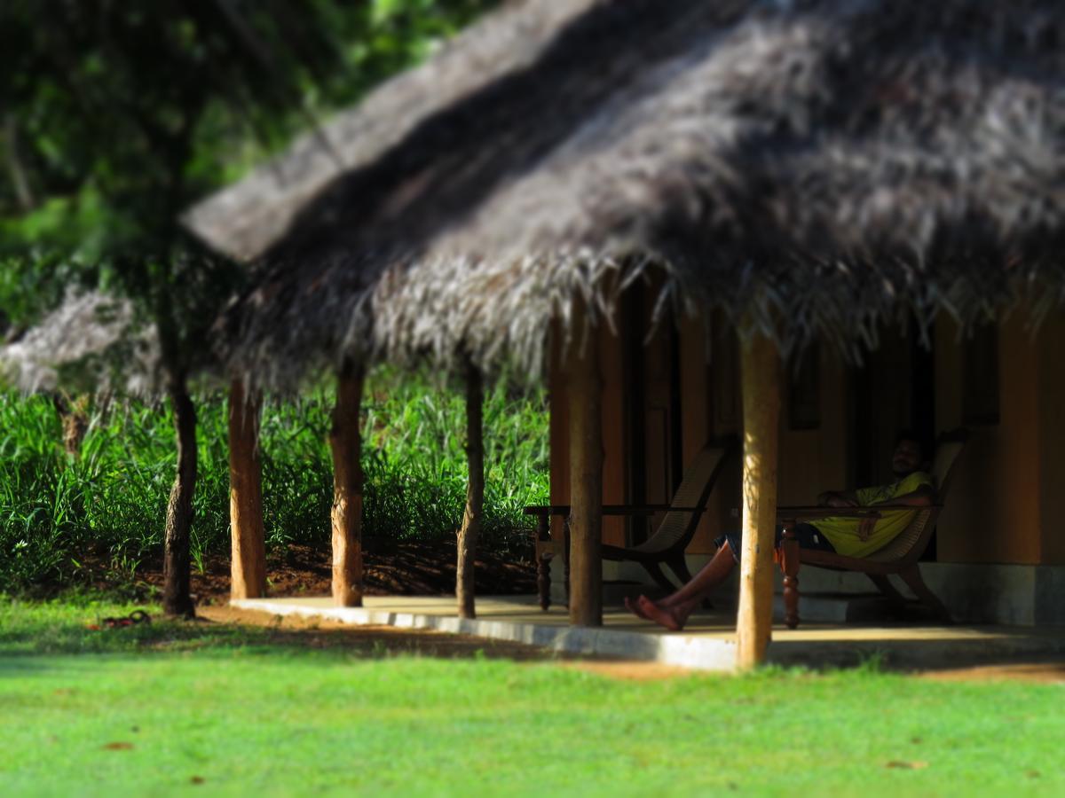 Cloudz Sigiriya Hotel Kamer foto