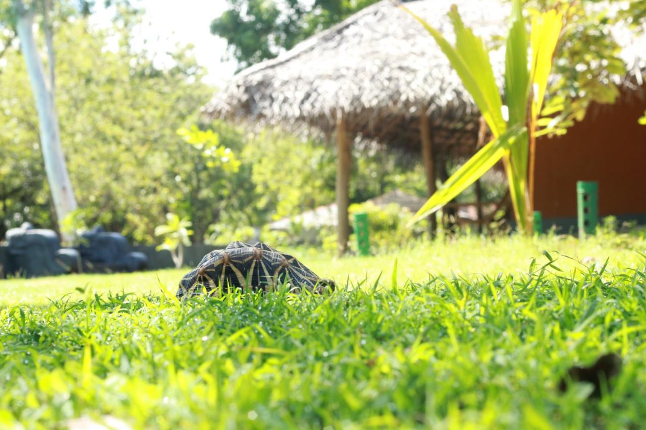 Cloudz Sigiriya Hotel Buitenkant foto
