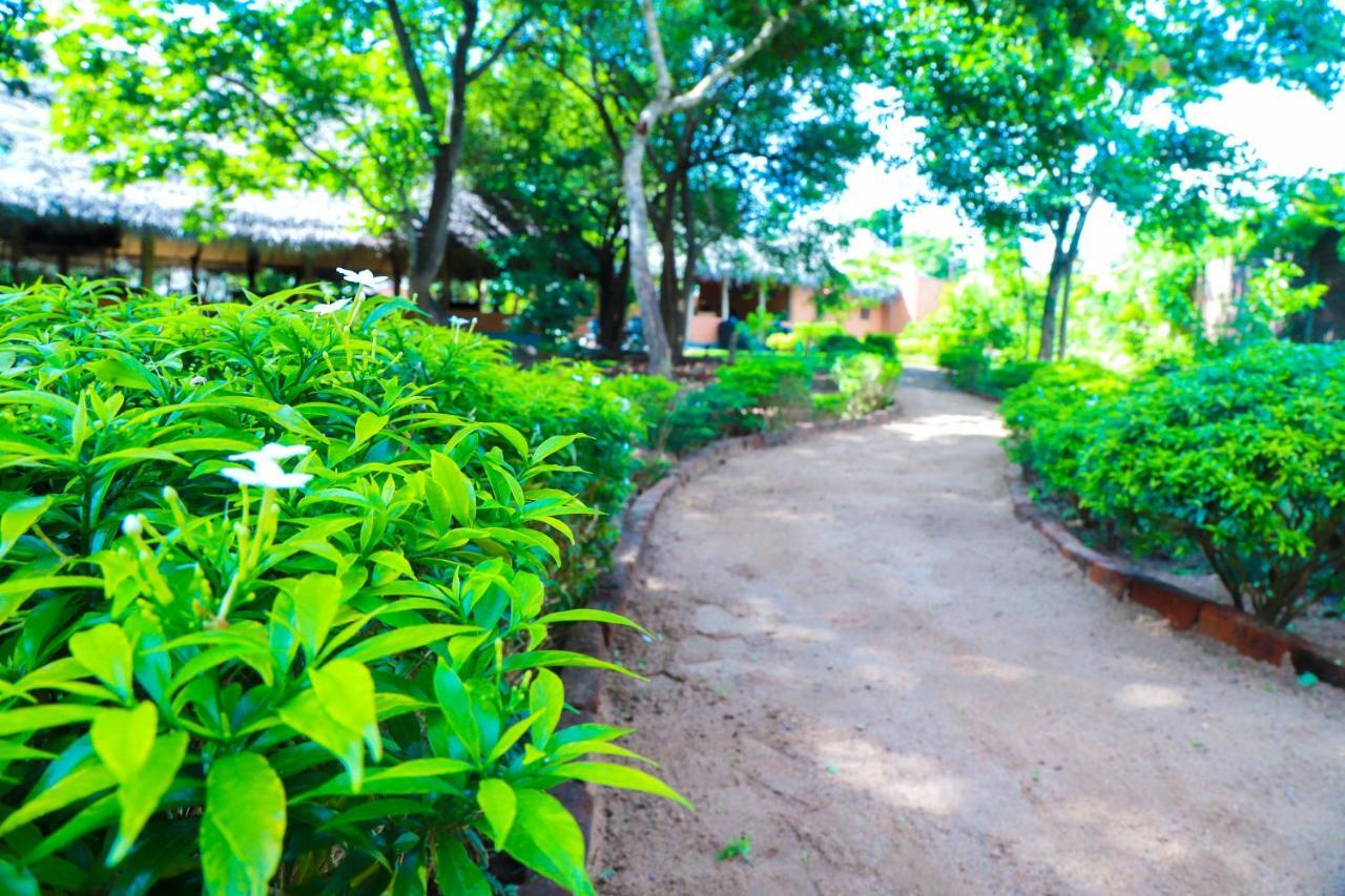 Cloudz Sigiriya Hotel Buitenkant foto
